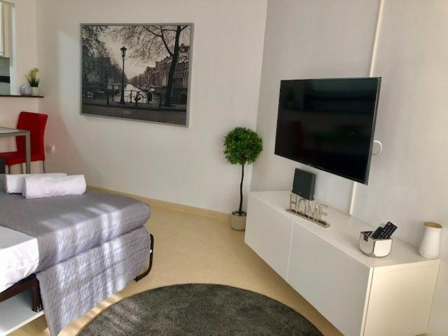 Studio In The Center Of Lejlighed *